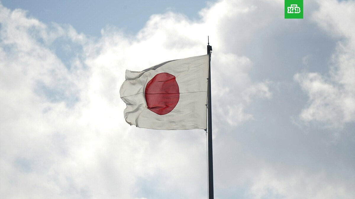    Фото: unsplash.com