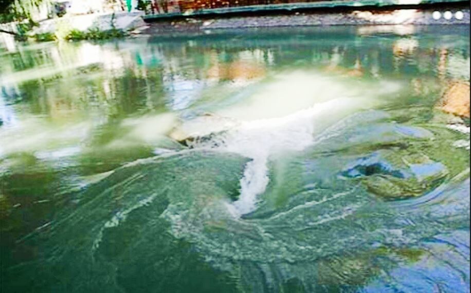 Засосет, выплюнет и не подавится.