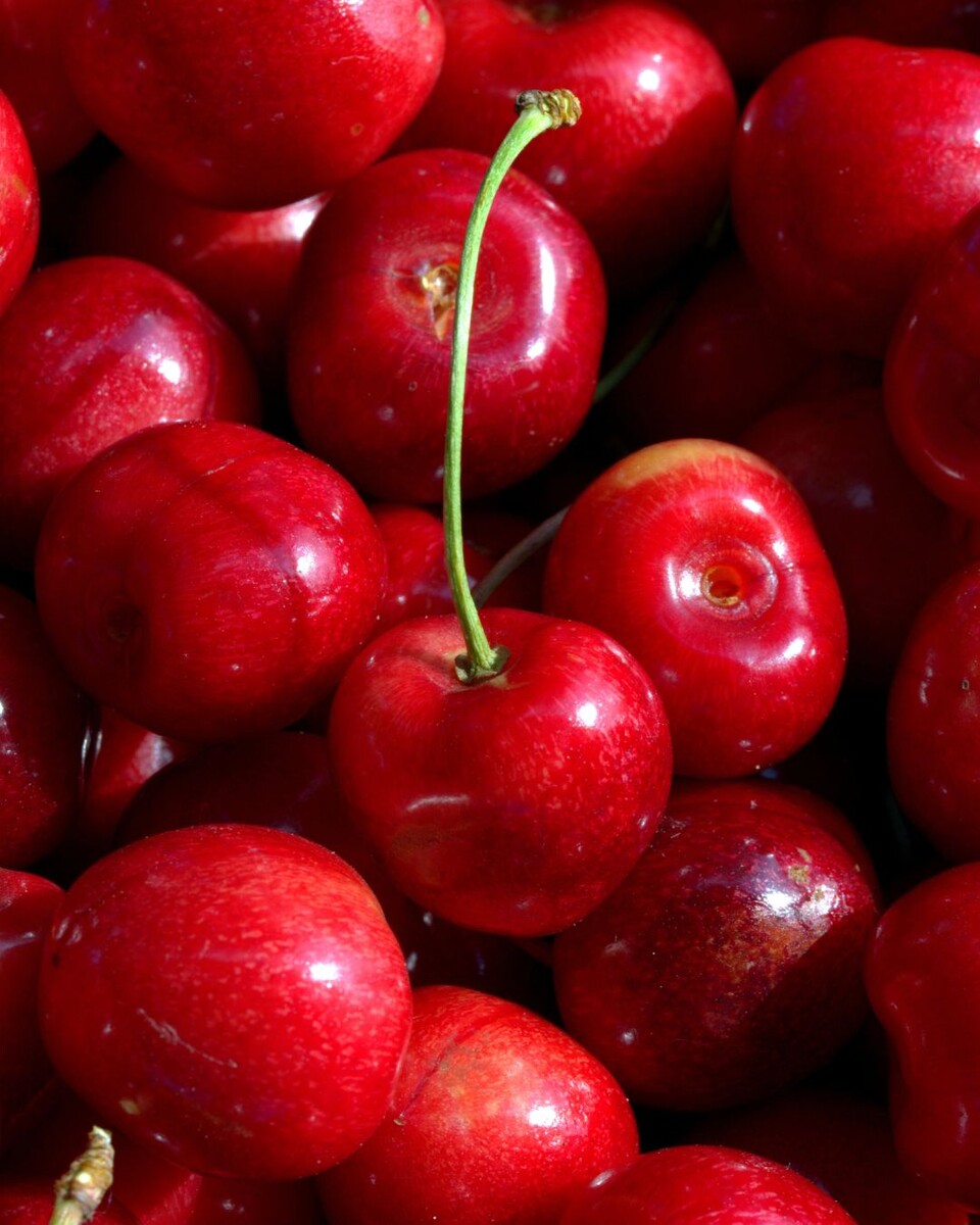 Источник фото: Canva