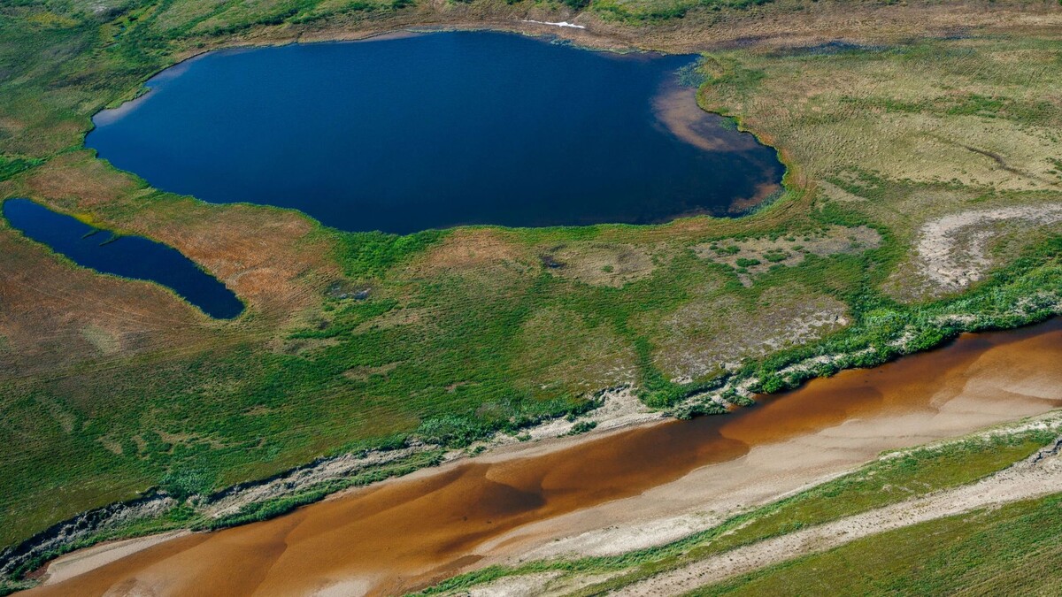    Фото: Юлия Чудинова / «Ямал-Медиа»