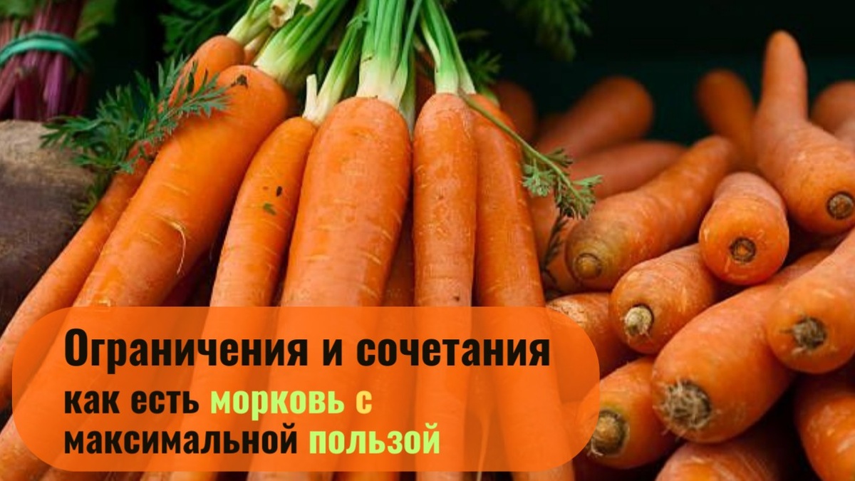 Овощ морковь.