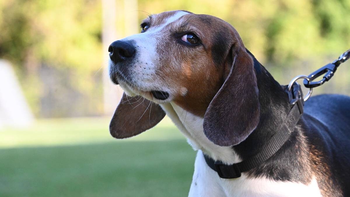    Фото: Мария Хапцова / Вечерняя Москва