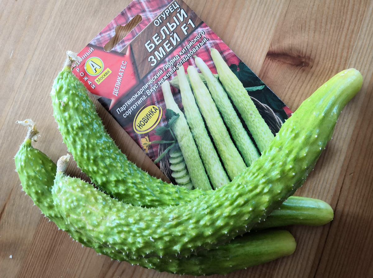 Фото: Зеленая леди, сад, семья и томатный сок