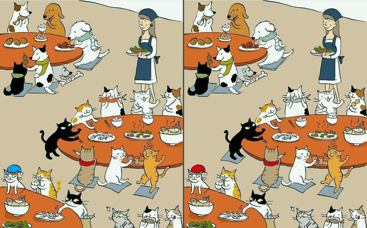 Найдите 10 отличий