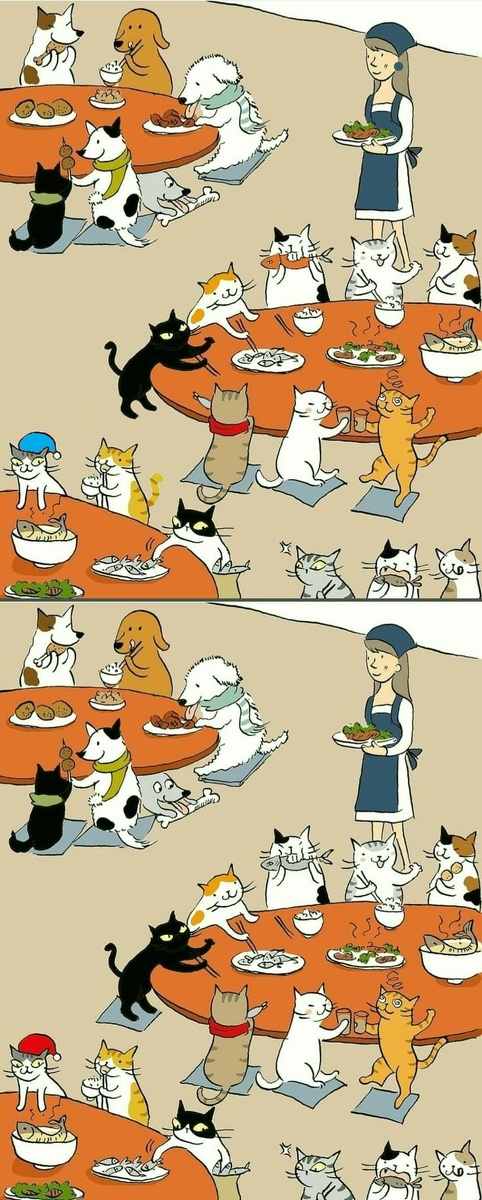 Найдите 10 отличий