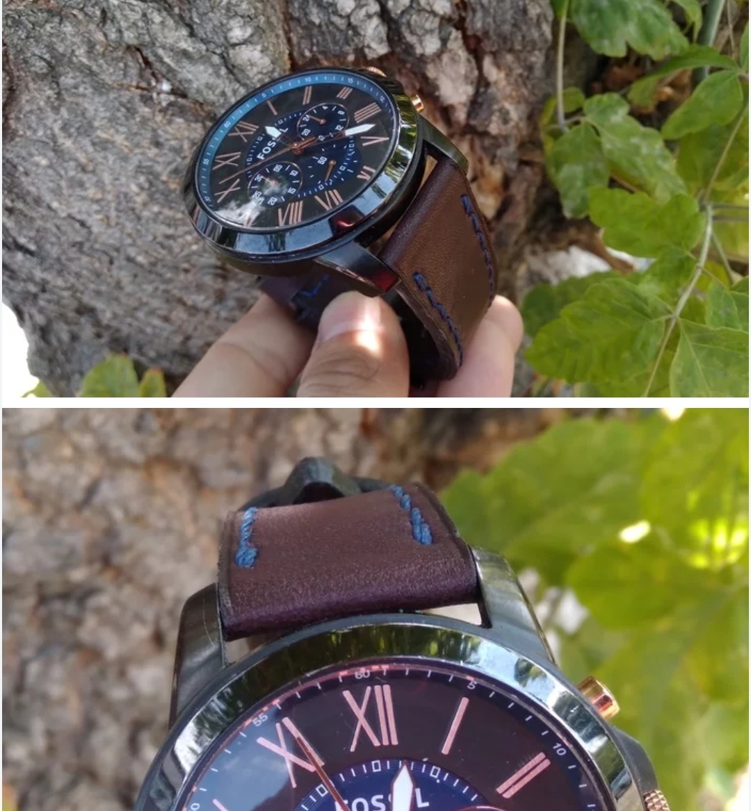 Фотографии автора 