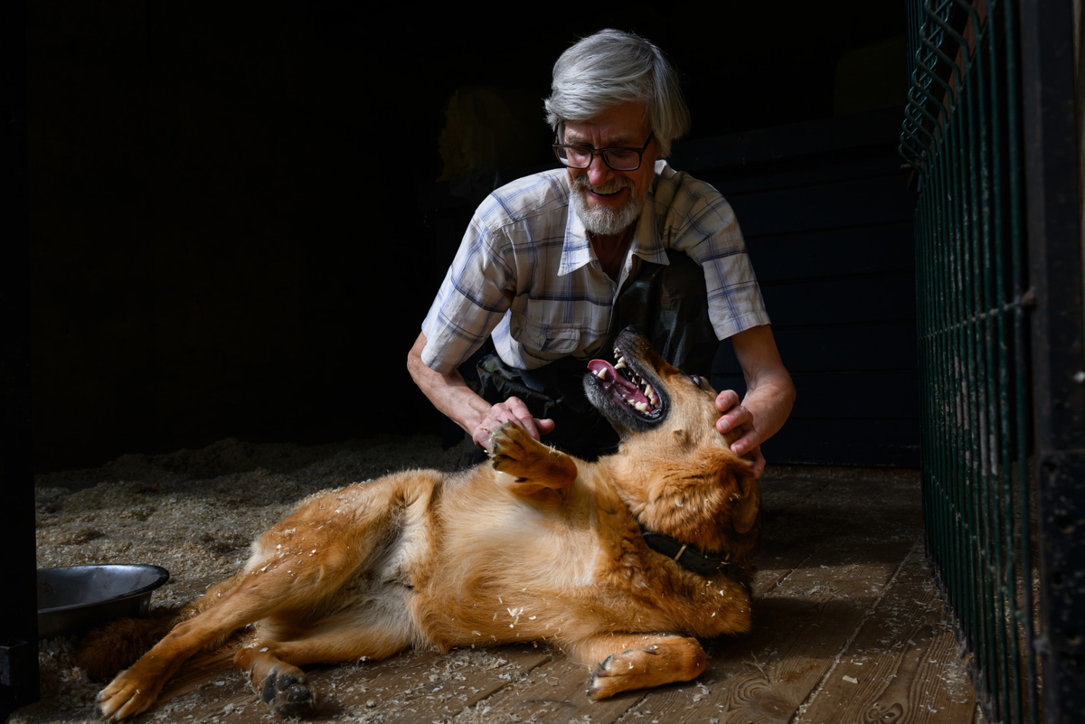 Фото: Александр Гальперин / «Петербургский дневник»
