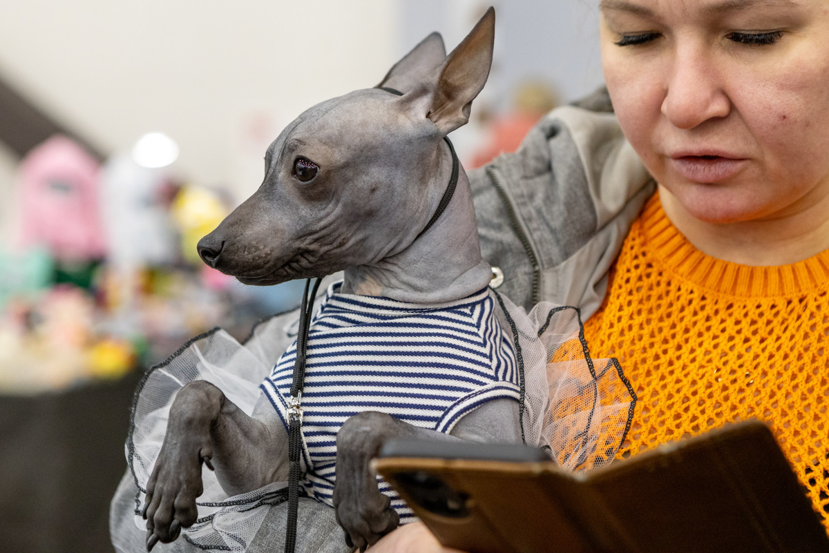 Фото: Олег Золото
