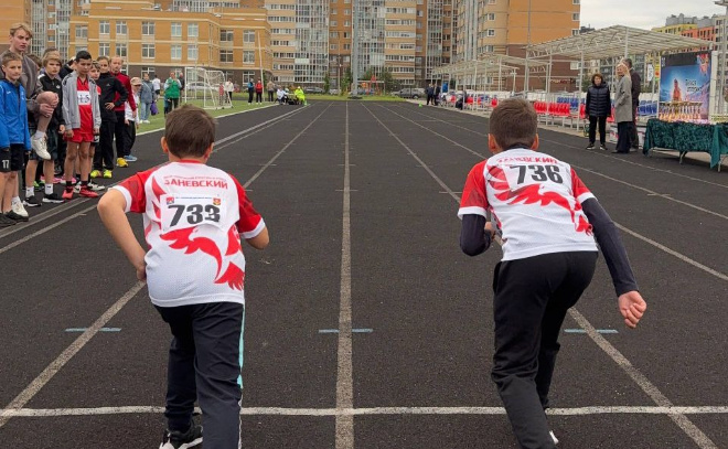    © Заневское городское поселение