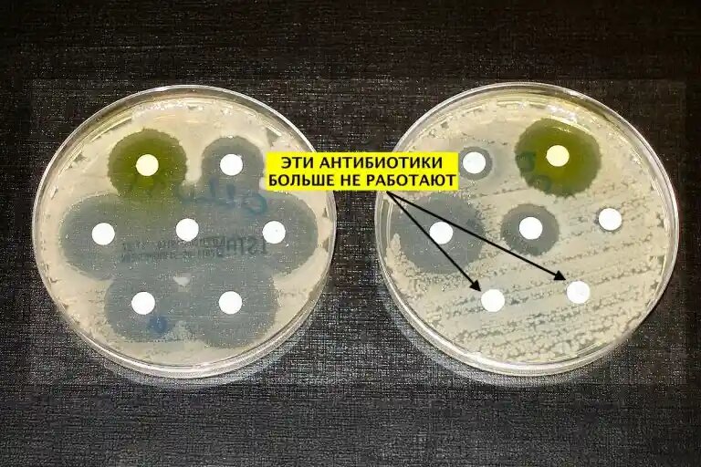    Источник: your.tj
