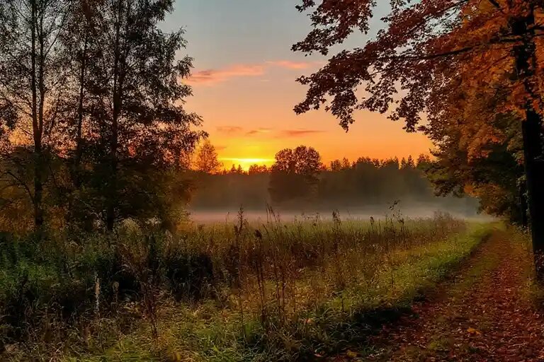    Иллюстрация: t.me/mushel_kz