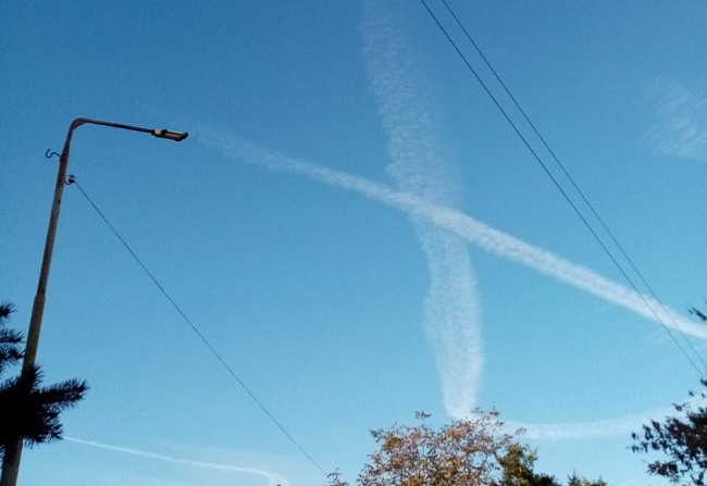    Фото из архива редакции Редактор