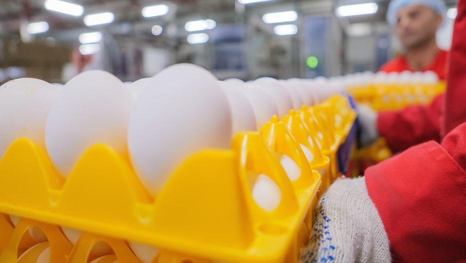    Автор фото: Беликов Валентин/"ДП"