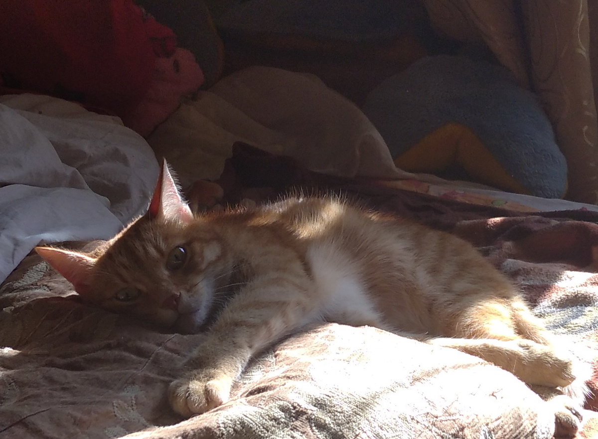 Личное фото