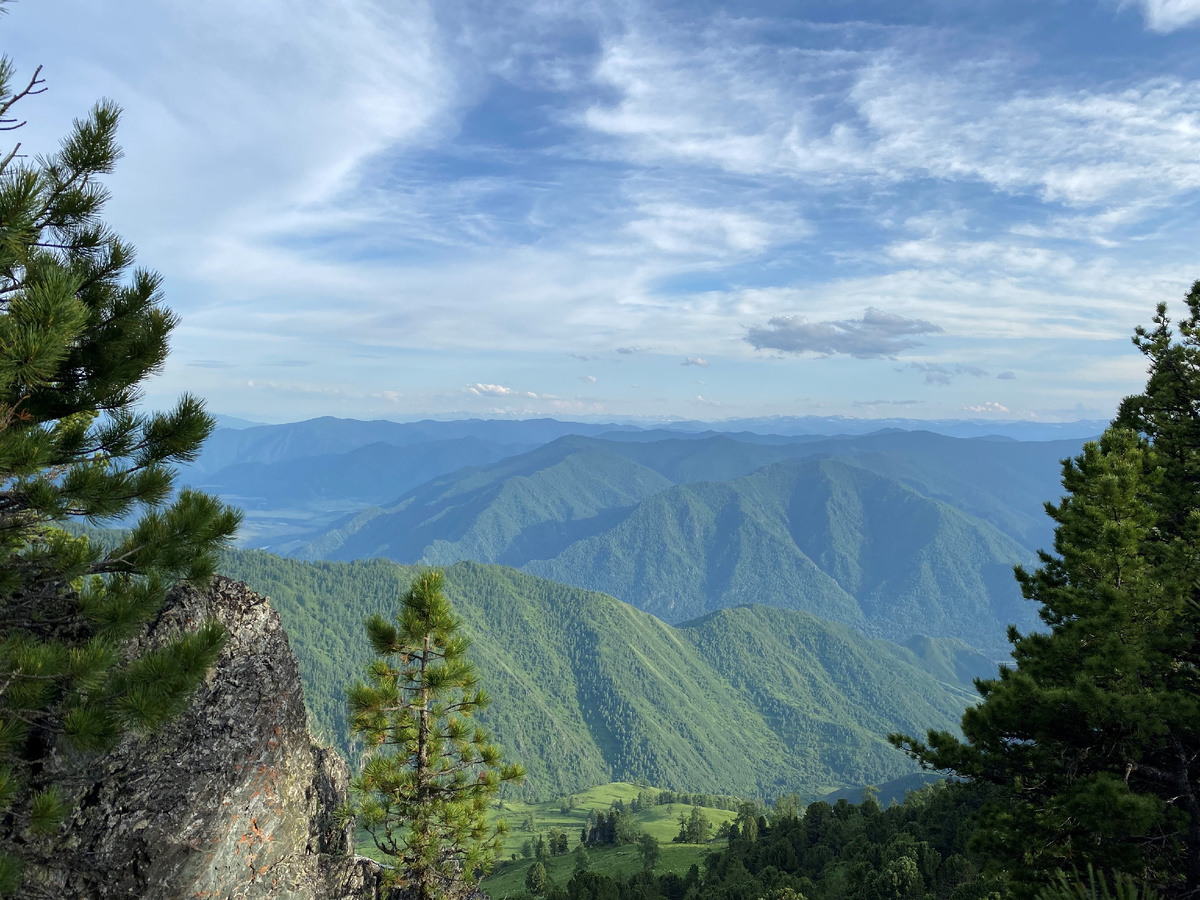 Фото из моей экспедиции в Алтайскую тайгу. (ссылка на статью в конце)