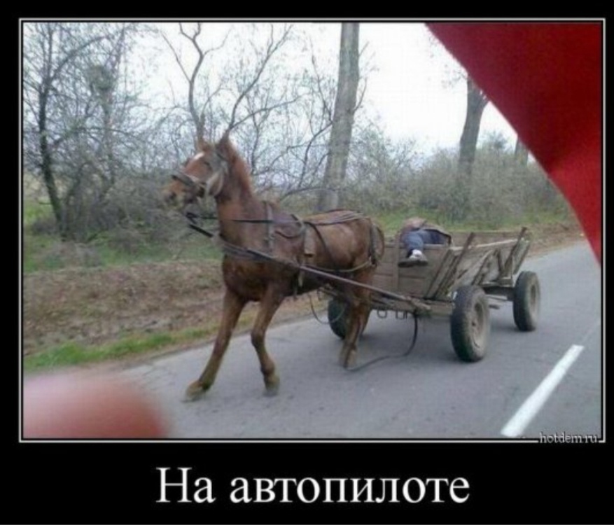 Из интернета