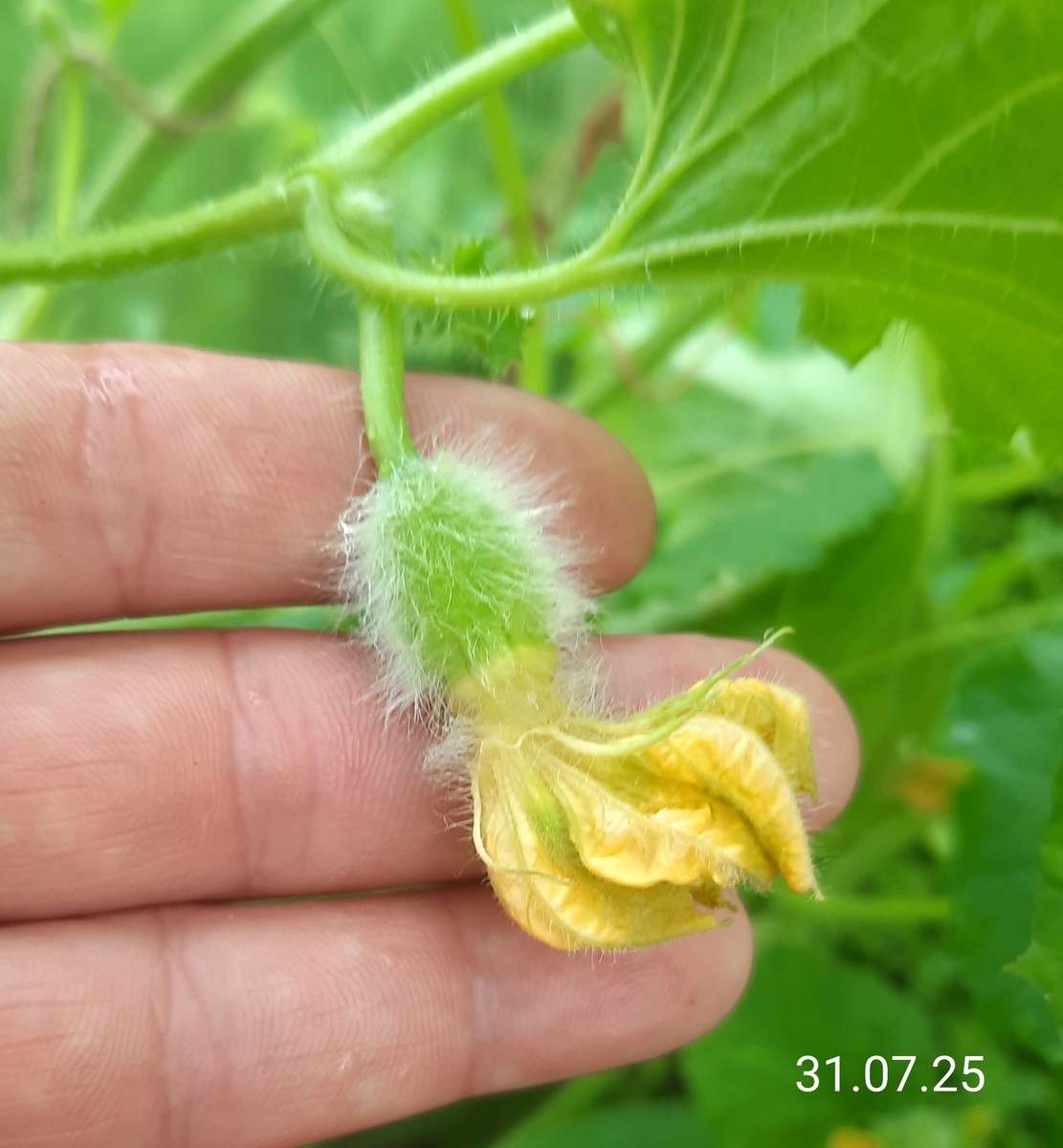 Фото автора.