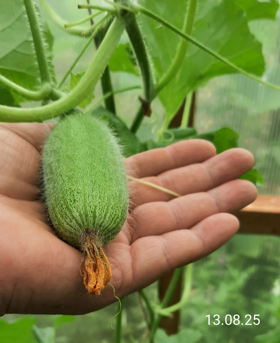 Фото автора.