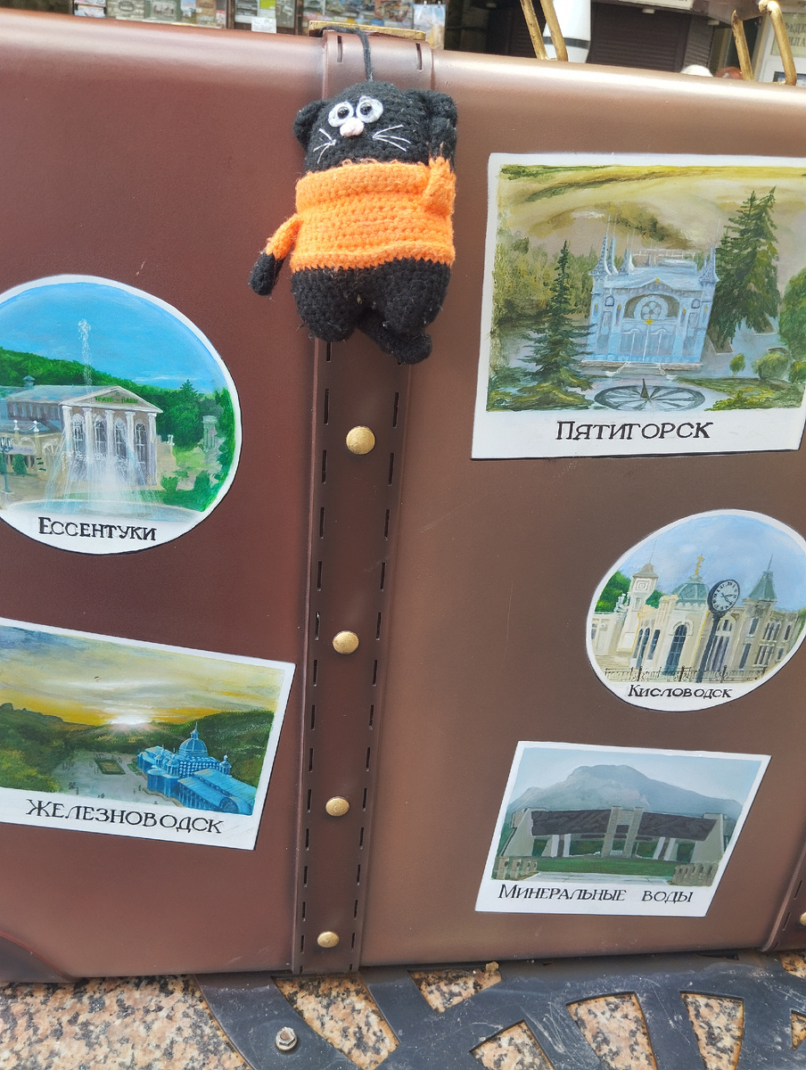 Наш походный Кот и курортный чемоданчик( фото сделано в Кисловодске)