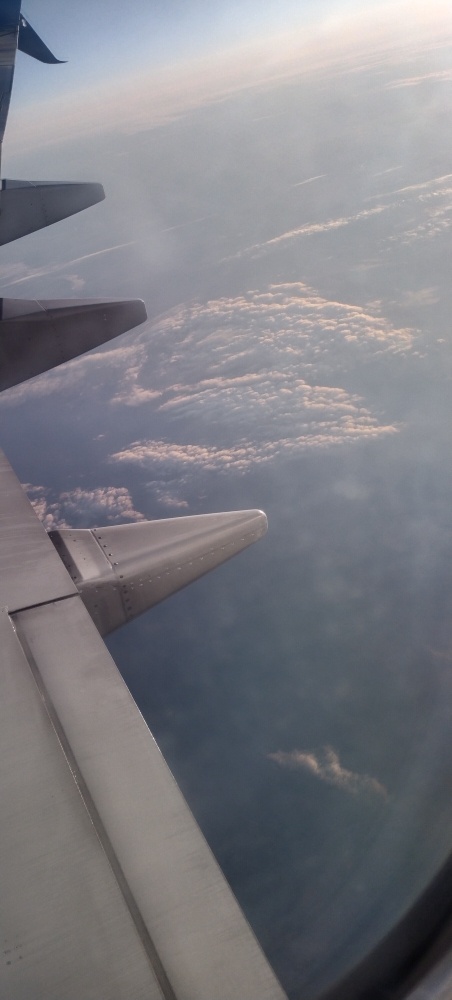 Фото автора. Лечу из Челябинска в Москву на "Интервидение"