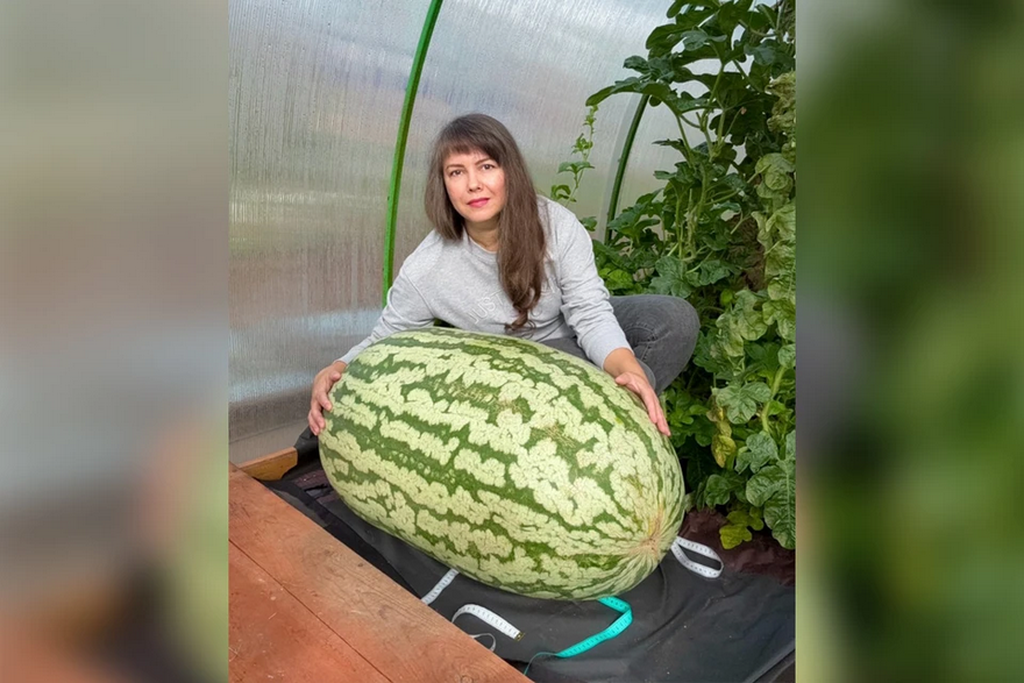    Фото © VK / Каролина Овчинникова