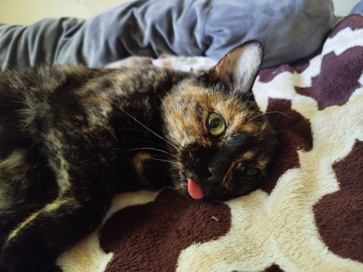 Ой, не смейся на бедной старушкой