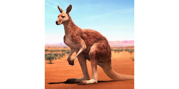 Кунгуру