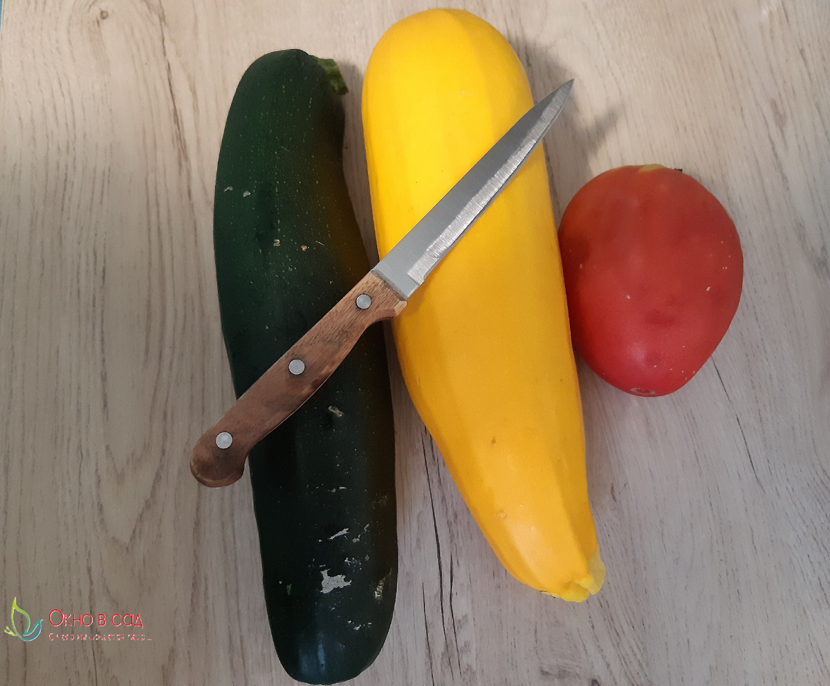 Фото из личного архива автора