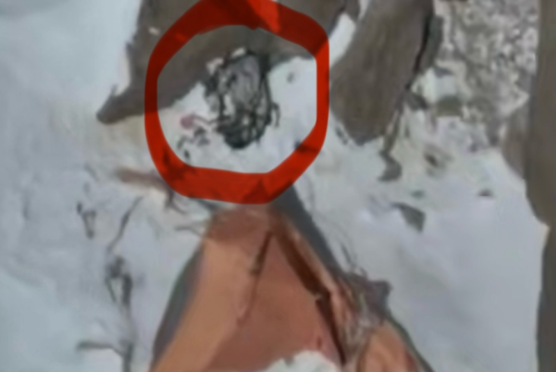    Скриншот с видеозаписи дрона