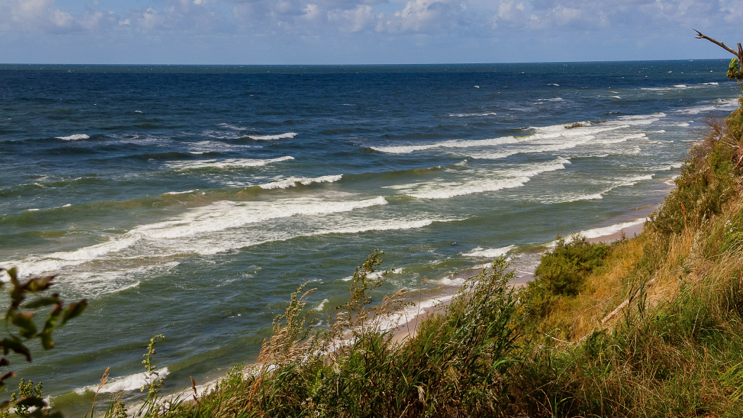    Фото: Roman Denisov/Globallookpress