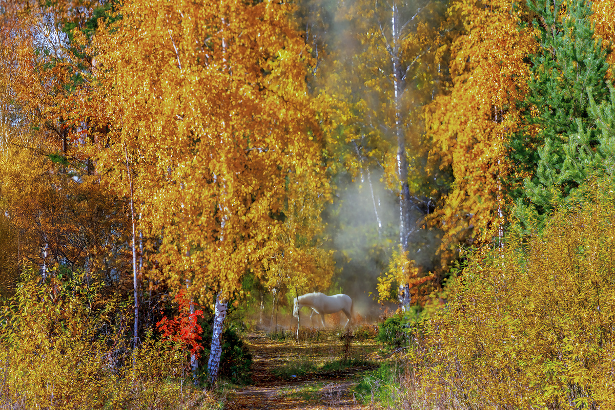 Найдите «якорь»: В кадре должен быть главный объект, за который «зацепится» глаз. Без него кадр может получиться пустым и скучным.