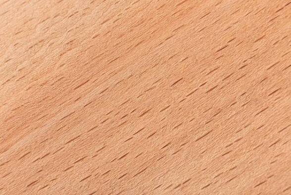 Текстура бука