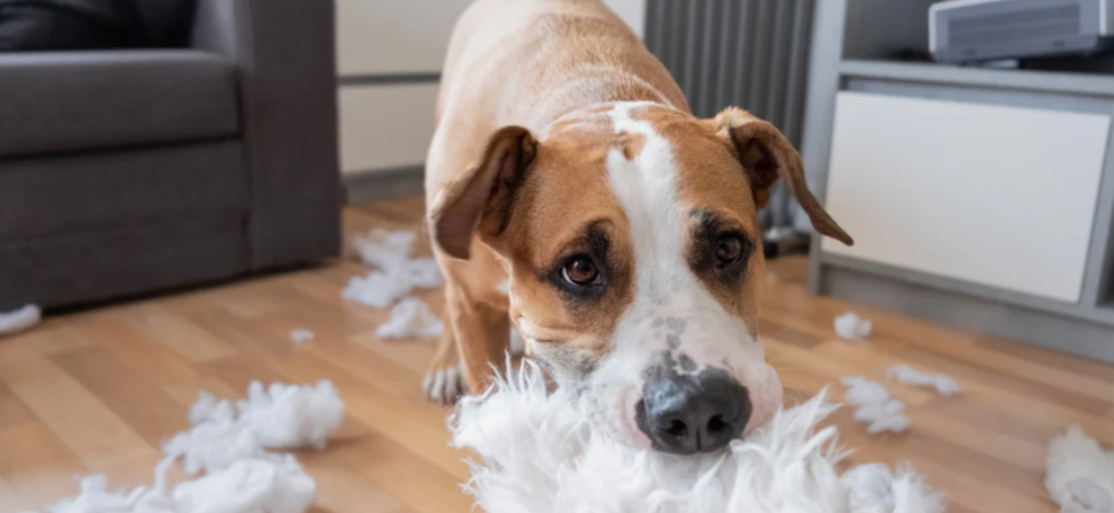 Источник Яндекс.фото 