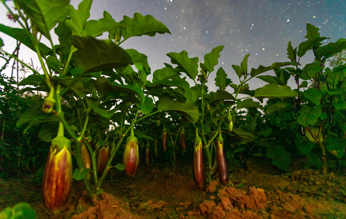 Фото: © Zhu Zongqiang/ XinHua/ Global Look Press