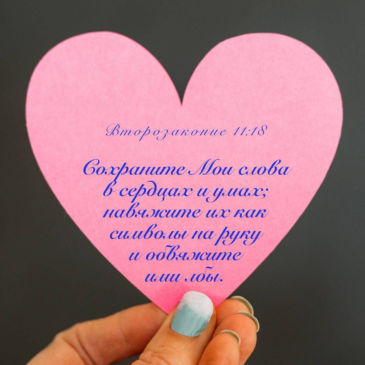 Второзаконие 11:18 НРП