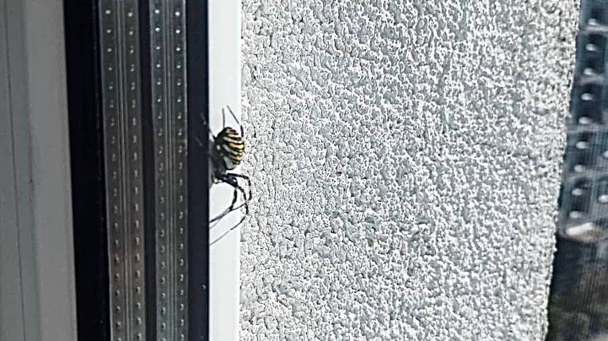    Фото: пресс-служба «Мособлпожспаса»