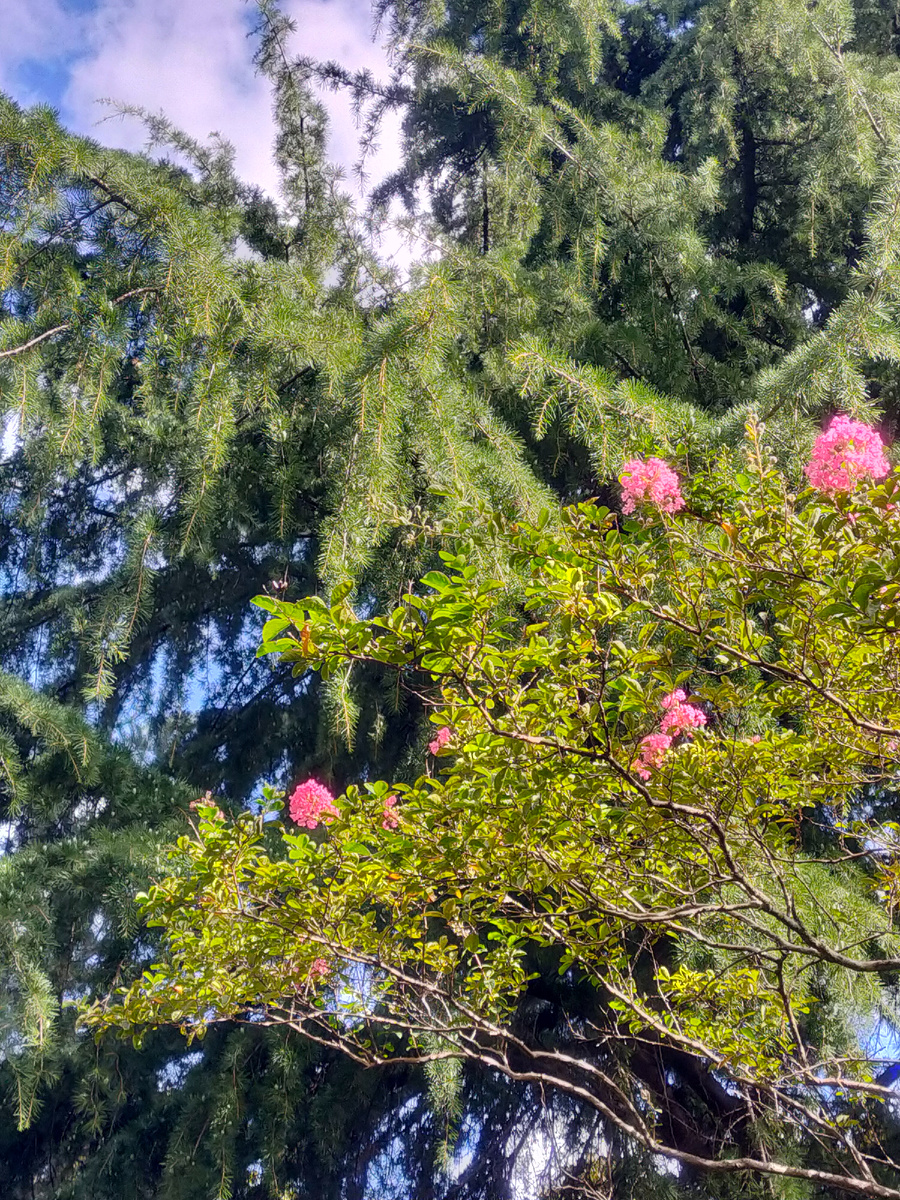 Время наслаждаться красивыми видами