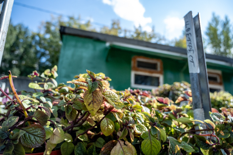 Фото: Юлия Федотова