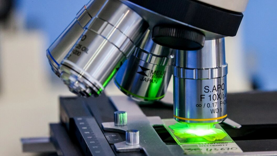    Lantyukhov Sergey/Globallookpress