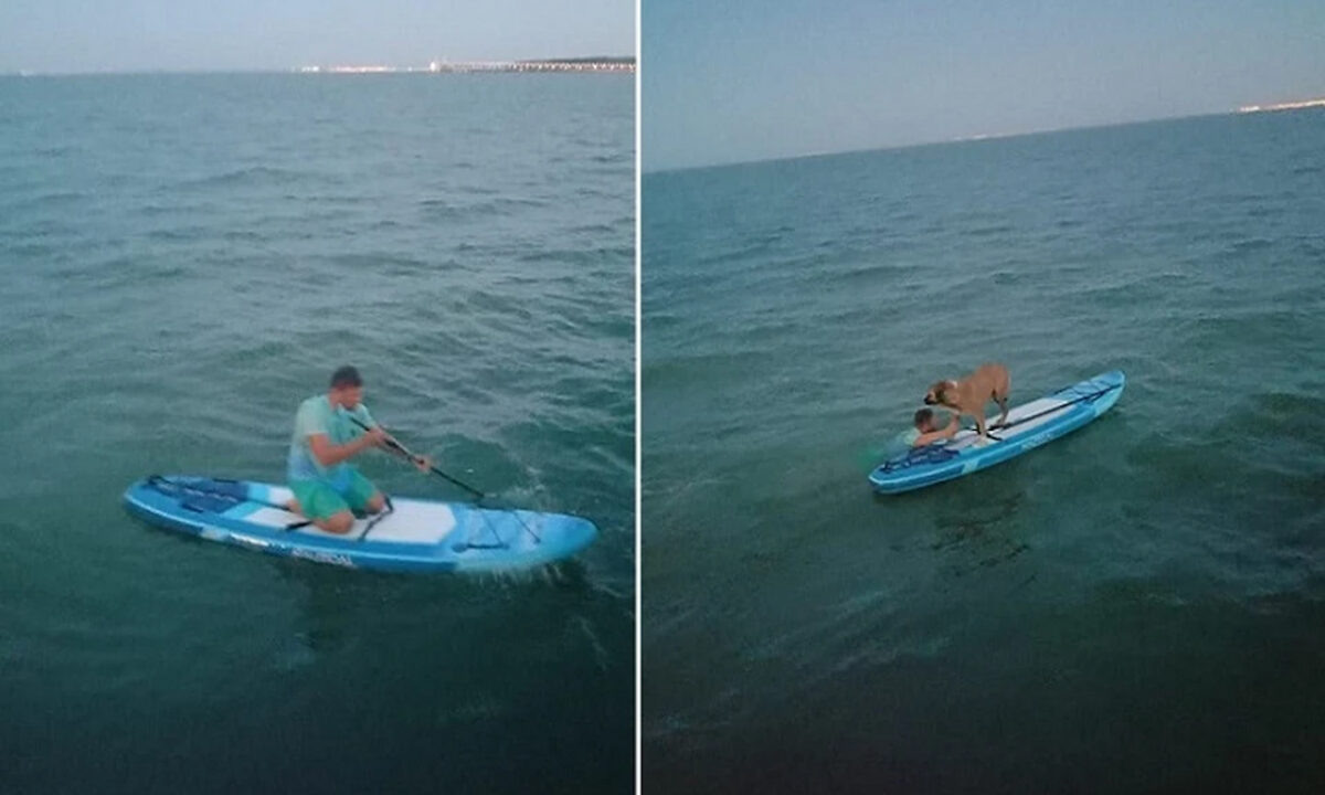    Фото «КП»-Крым»