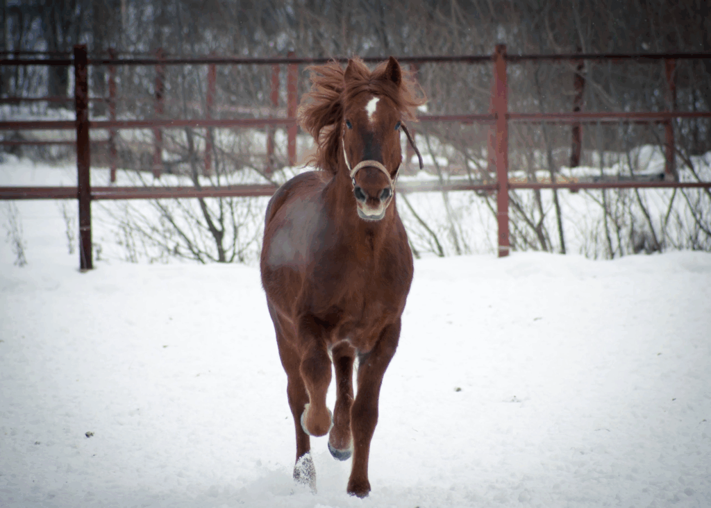    Фото: В Курсе.ру Редакция «В курсе.ру»