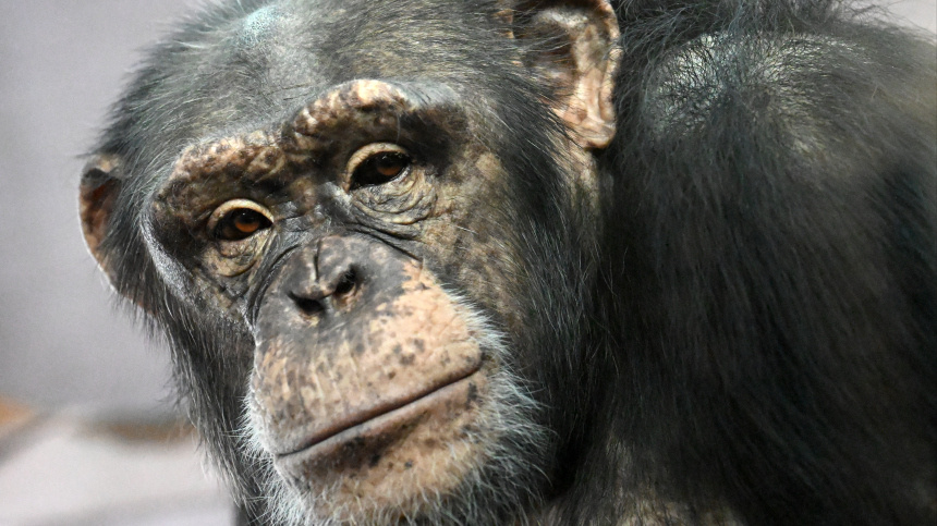    Фото: ИЗВЕСТИЯ/Илья Наймушин