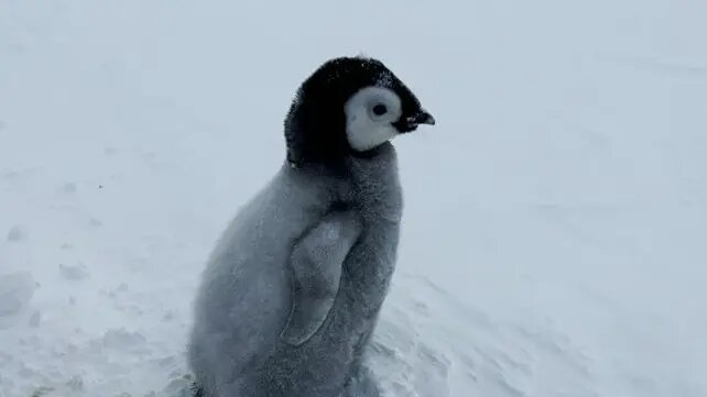    Фото: vm.ru Павел Евсеев