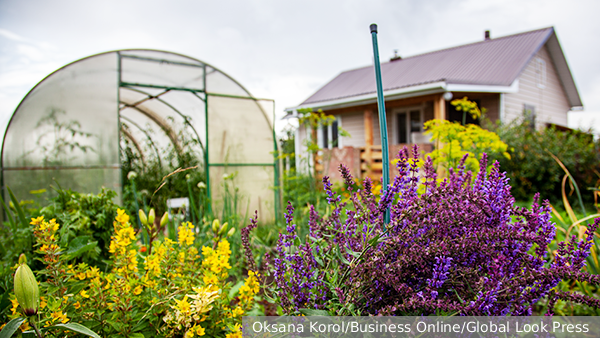     Фото: Oksana Korol/Business Online/Global Look Press   
 Текст: Татьяна Косолапова
