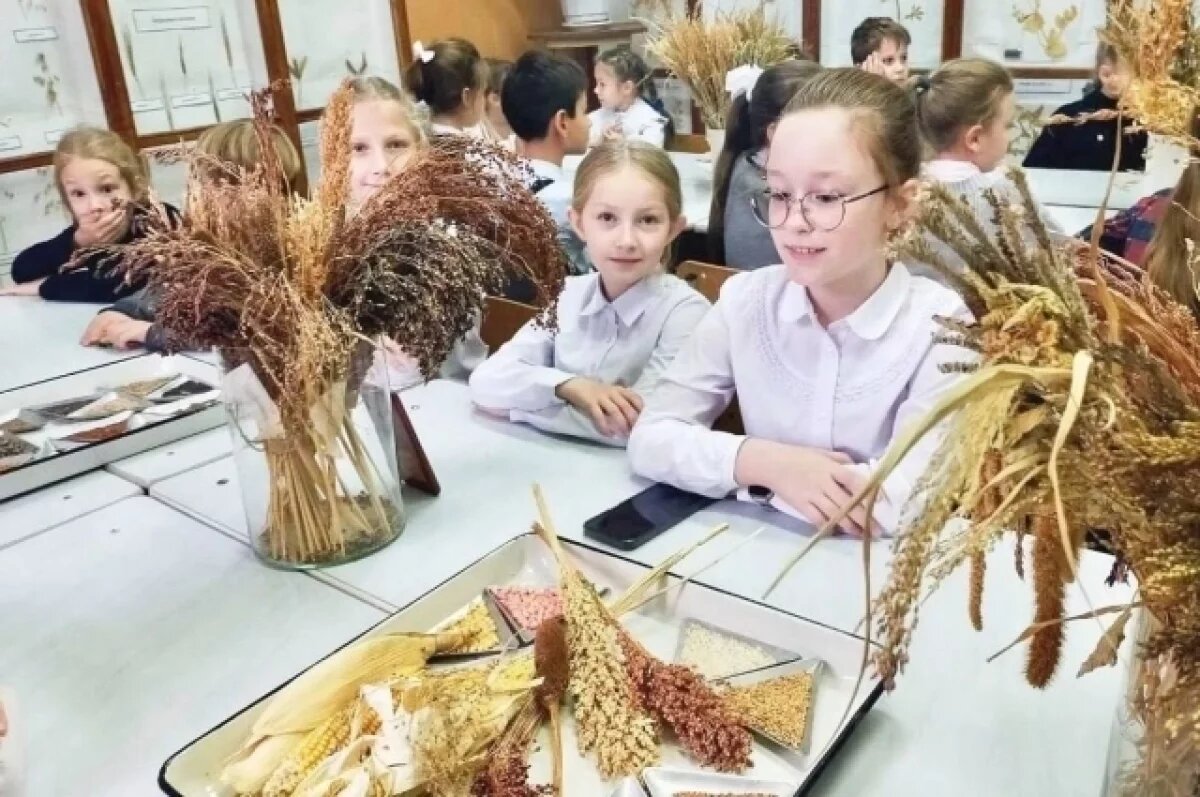    В Ивановской области школьные агроклассы получили новое оборудование