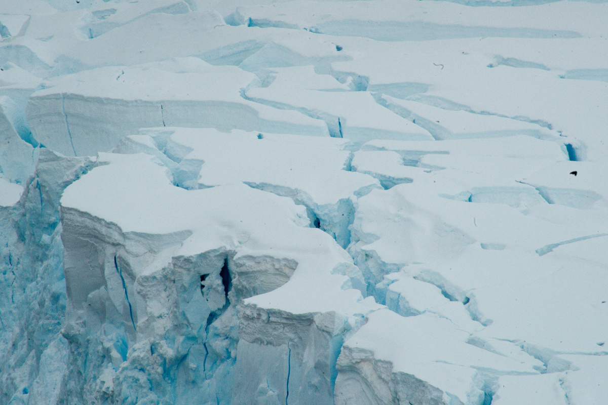 Фото: Torsten Dederichs / Unsplash