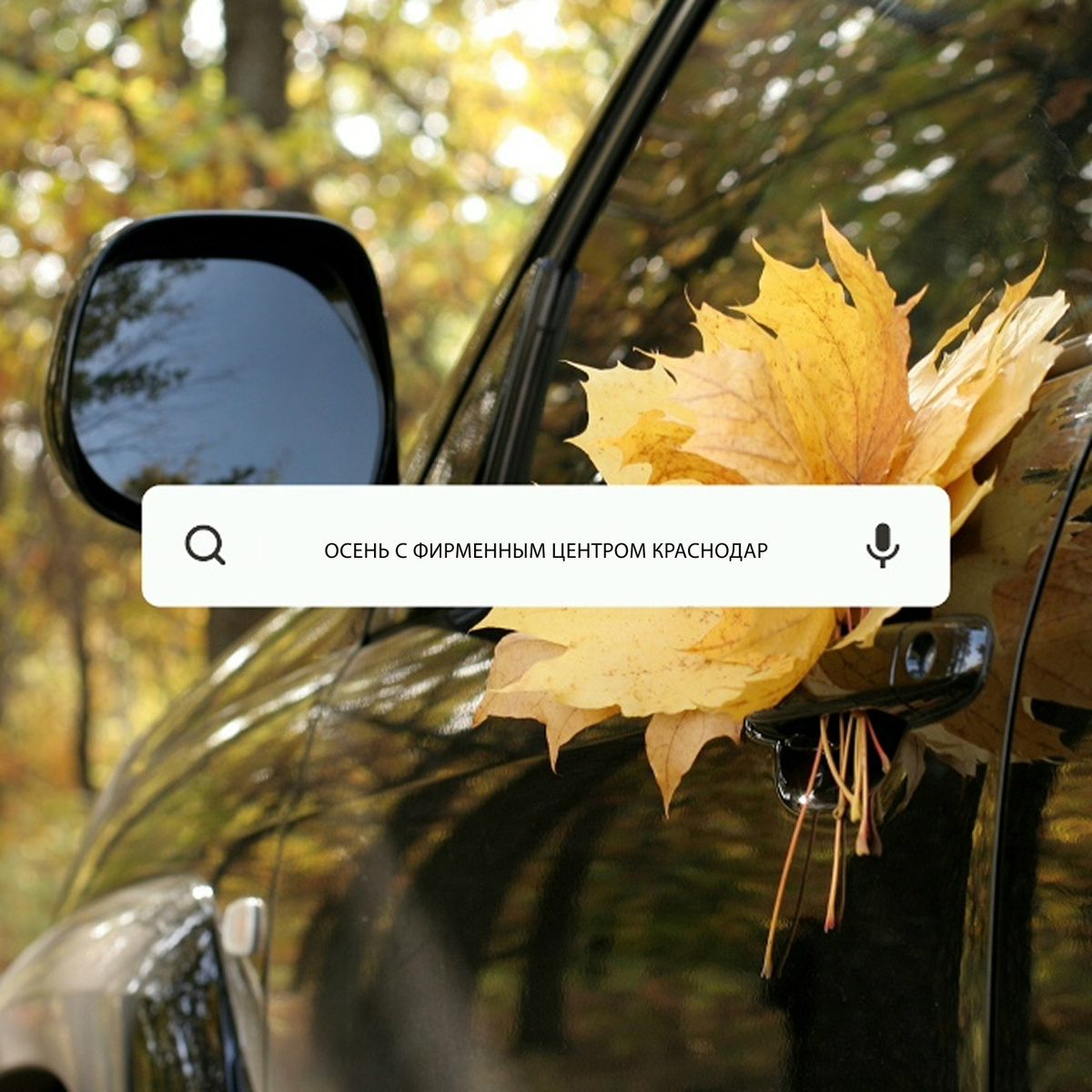 Обезопасьте свой транспорт прямо сейчас: все подробности можно узнать у специалистов Фирменного Установочного Центра StarLine Краснодар по телефону +7(861) 212-31-93, +7(918) 679-85-74 или на сайте https://starline-krd.com