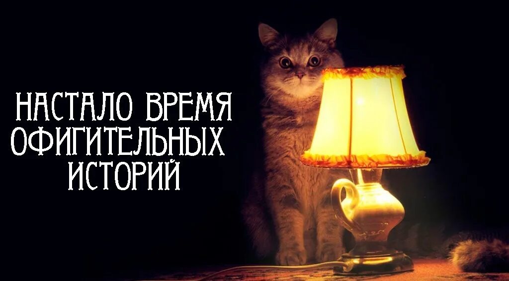 источник Яндекс-картинки