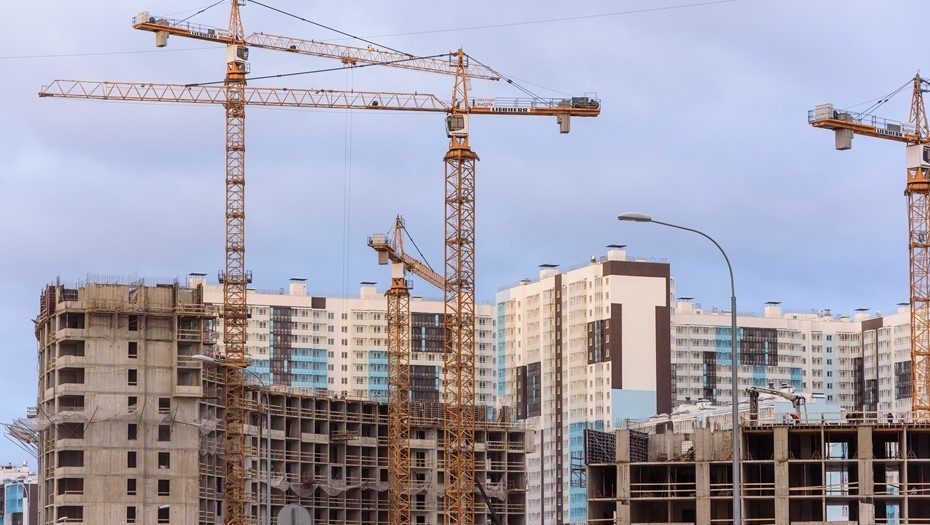    Автор фото: Ермохин Сергей/"ДП"