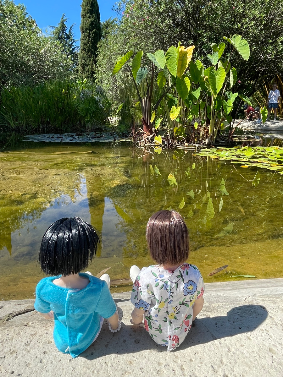 В парке есть несколько прудов
